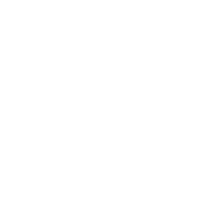 V12Collection